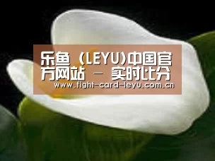 产品名称七
