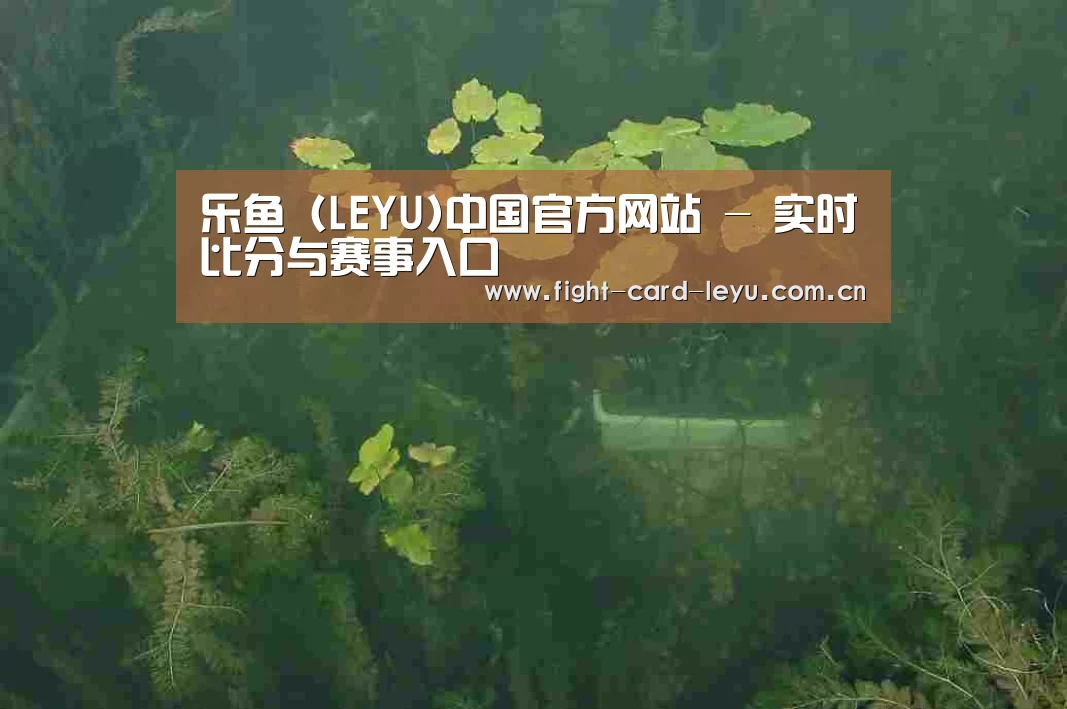 案例展示三