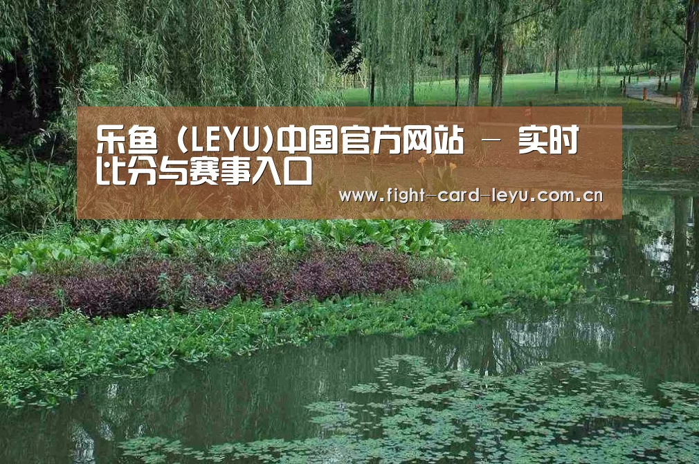 案例展示一