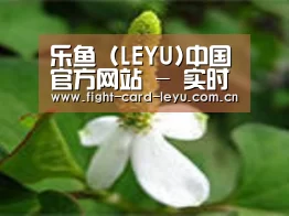 产品名称三