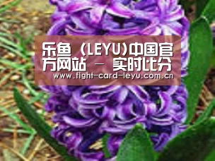 产品名称八