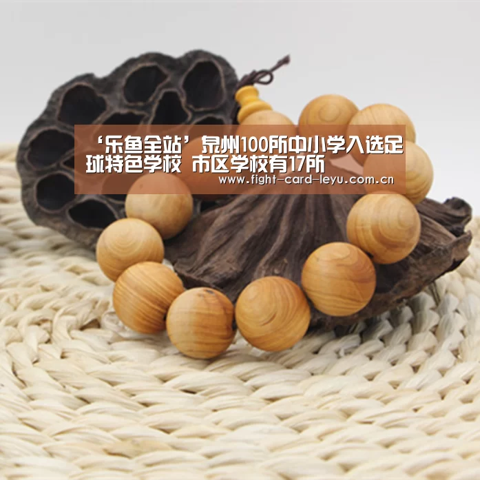 乐鱼全站